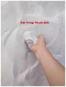1kg Cát Trắng Sạch – Cát trắng thay lư hương - Trang Trí cây cảnh - Phụ Kiện Hồ Cá - Tiểu Cảnh Bonsai - Cát trắng Thủy sinh - Cát cho bé chơi - Cát nền cho thú cưng