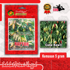 Benih Cabe Rawit Putih Raptor Isi 5 gram Original Segel Pabrik Produk Unggulan Jawara