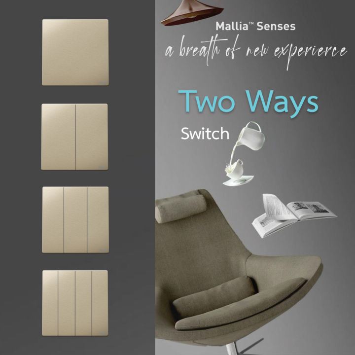 Legrand สวิตช์สองทาง 1 | 2 | 3 | 4 ช่อง สีแชมเปญ 2Ways Switch 1G| 2G ...