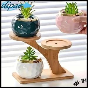 【dipao】 2-Tier Bamboo Stand Bamboo Shelf For Home Office Compact Design Perfect For Home And Office Desktop And Balcony Decor Organizer