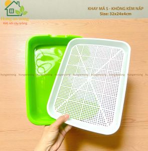 KAS – khay trồng rau mầm không nắp 32x24x4cm nhựa pp tái sử dụng