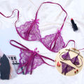 Lingerie Seksi Bra Set Sexy Lingerie Lace Transparent Open Bra G-String Bikini A1290. 