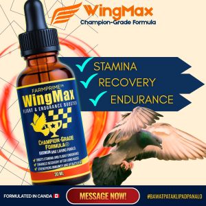 [3 BOTTLES ] WingMax Champion Elite Pigeon Power Formula