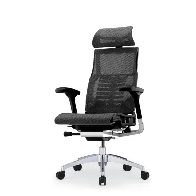 Ergohuman Pofit 2 Ergonomic Full Mesh Ergonomic Office Chair