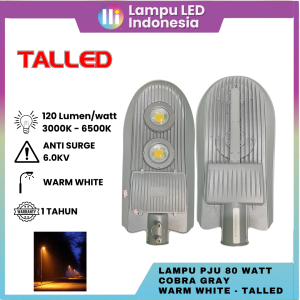 LAMPU JALAN PJU SOLAR CELL TENAGA SURYA TALLED 2 IN 1 LED BY SAMSUNG