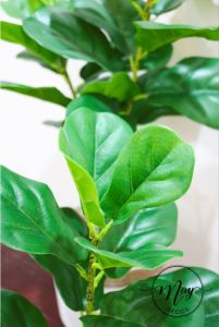 Cây giả - Chậu bàng singapore cao cấp