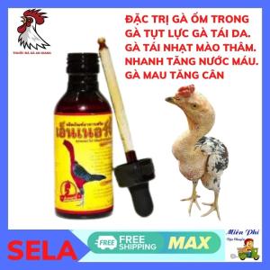 VITAMIN ỐM TRONG VÀNG ốm trong khô chân teo lườn nhợt nhạt phân xanh phân trắng phục hồi gà suy sau đá hũ 60ml
