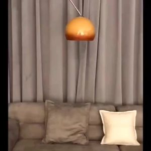Fishing Floor Lamp Living Room Sofa next to Light Luxury Remote Control Intelligent Ins Style American Bedroom Nordic Decoration Minimalist 钓鱼落地灯客厅沙发旁边轻奢遥控智能ins风美式卧室北欧装饰极简Fast shipping