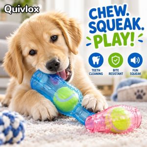 Dog Chew Toy Bite Resistant TPR Rubber Squeaky Molar Toy For Puppy Small Large Dogs Interactive Training Fetch