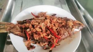 ปลาส้มสูตรเก่าแก่ตั้งเดิม ทำมาจากปลาตะเพียนสดๆ ไซส์ใหญ่ๆ รสชาติกลมกล่อมด้วยสูตรที่สืบทอดกันมากว่า 30 ปี