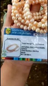 Kalung Mutiara Asli Air Tawar 150cm Dengan Card Memo