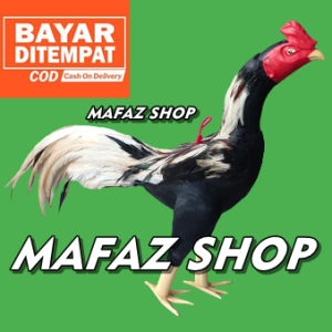 Grosir ! Boneka Ayam Aduan Bulu Asli