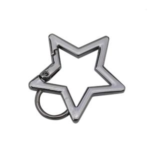 Star Shaped Stainless Steel Keychain Clip Carabiner Snap Hook Holder Star Carabiner Hook Clip Key Holder