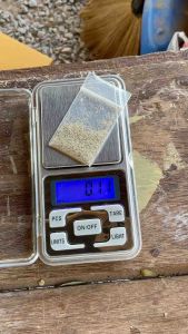 KPK Macrocopa ไข่สะอาดอัตราฟักตัวสูง 0.1 กรัม ไข่ไรแดง