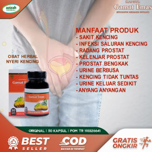 Obat Nyeri Kencing Ifeksi Saluran Kencing ISK Radang Prostat Bengkak Kelenjar Kencing Tidak Tuntas Urine Keluar Sedikit BAK Kencing Batu Berdarah Urine Berbusa Anyang Anyangan Herbal Gamat Emas Kapsul