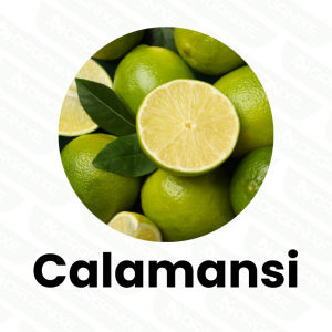 Organixe Premix Dishwashing Liquid Kit 17L Yield Premium Mixture Set for Instant DIY Dish Soap