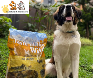 Thức ăn chó TASTE OF THE WILD [BAO NGUYÊN SEAL 12.2kg] Vị bò rừng nai nướng cho chó trưởng thành