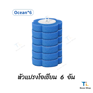 ชุดแปรงห้องน้ําแบบใช้แล้วทิ้ง ยีห้อ TL  ติดผนังประเภทสามารถโยนไม่มีมุมตายทําความสะอาดเครื่องมือที่มี