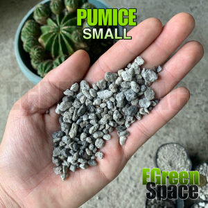 Pumice Small (4 kilos)
