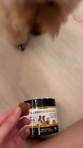 Ready stock 🇲 🇾 [meownwang]Pet Skin Health Allergy Skin Health Functional Food [With Omegas Vitamin E Biotin & Probiotics]