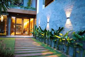 Cây dong lá bạc tạo không gian tiểu cảnh nhiệt đới Decor ban công theo phong cách Tropical cho quán cà phê giếng trời hồ bơi Minh Hân Garden