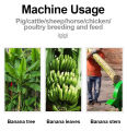 DEKES Banana Tree Crusher Banana Stem Plantain Tree Shredder Machine Fresh Banana Plant Shredding Equipment Banana Tree Cutting Machine Banana Tree Domestic Chicken Duck Goose Breeding Banana Shredder. 