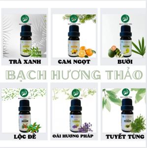 Các loại tinh dầu 10ml bưởi cam chanh tràm gió khuynh diệp hoa hồng trầm hương sả chanh bạc hà lavender xạ hương sả java tràm trà cam hương lộ đề phong lữ xá xị hoàng đàn bạch hương thảo