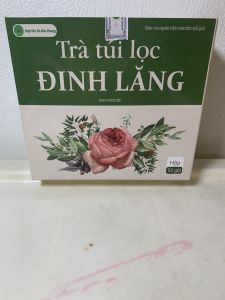 Combo 160 gói (4 hộp) trà túi lọc đinh lăng đinh lăng khô trà hoạt huyết dưỡng não ngủ ngon rối loạn tiền đình thiếu máu hoa mắt chóng mặt