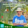 Organic ชุดรวม น้ำมันมะพร้าวสกัดเย็นออร์แกนิค100% ตรา โคโค่ แคร์ - Coco' Care Organic Extra Virgin Coconut Oil (Cold Pressed & Unrefined). 