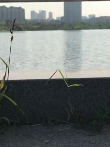 Xiaofeige Elderly Scooter Aluminum Alloy Electric Tricycle Foldable Household Mini Battery Car for the Elderly