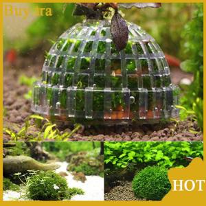 [Buytra] Aquatic Pet Supplies Decorations Aquarium Moss Ball Live Plants Filter Pet Decor