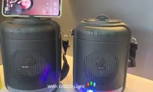 SK-1101 Portable KARAOKE RGB Flashing Lights Super Bass Wireless Bluetooth Speaker With Microphone