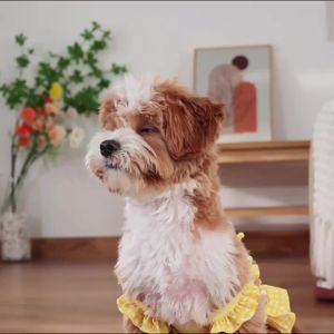 Cute Ruffle Skirt Dog Diaper PantsSanitary Physiological Underwear