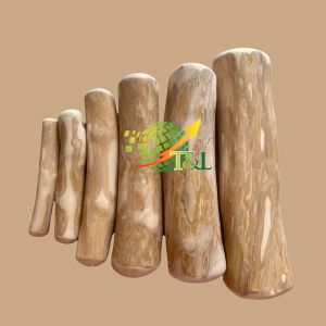 THANH GỖ CÀ PHÊ CHO THÚ CƯNG GẶM ĐỒ CHƠI TỰ NHIÊN 100% AN TOÀN CHO BÉ CÚN SIZE XXL PHÙ HỢP CHO BÉ CÚN 30-60KG THƯƠNG HIỆU T&L