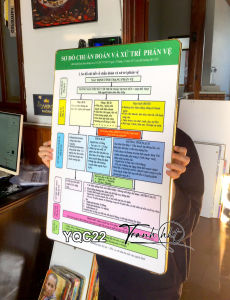 Tranh phòng khám y khoa y tế trang trí Tranh Y khoa sơ đồ chuẩn đoán và xử lí phản vệ tráng gương treo tường YQC22