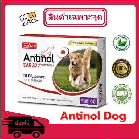 Antinol for outlet dogs 60