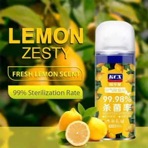 Car Air Freshener Deodorizer