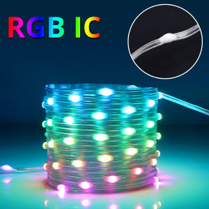 Led Fairy String Lights Music Sync 50/100LED High Quality Leahter Wire String Lights WS2812B RGBIC Color Changing Segment Control Lights