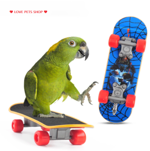Đồ chơi ván trượt cho Chim Vẹt (mẫu mới) - Love Pets Shop