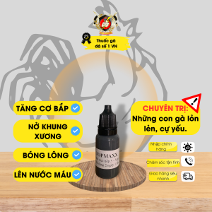 Nuôi gà đá Topmaxx trị lỏn lẻn hừng xung cự mạnh xung săn cắn mổ.