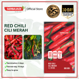 Biji Benih Sayur Cili Merah Besar - Vegetable Seed Red Chili SERBAJADI - 1g/pack Approx. seeds 300 pcs