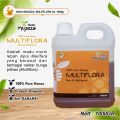 1KG MADU MULTIFLORA ASLI MADU MUEZZA Grade A , 100% PURE NATURAL HONEY , MADU ASLI MURNI ALAMI dari NEKTAR BUNGA MULTIFLORA dg Rasa Madu Manis & Lembut Pilihan Kesukaan Keluarga sbg Minuman Kesehatan & Kebugaran. 