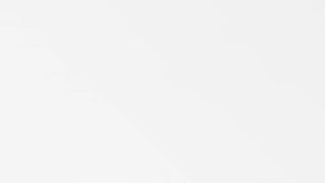 1ft/2Pack BNC to RCA Coaxial Cable Male to Male 50 Ohm Waterproof for Audio/Video Devices