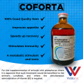 Coforta 100ml – Premium Health Supplement for Dogs, Cats, and More. 