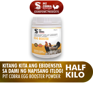 Pit Cobra Pro-egg (Egg Booster) WSP Half Kilo - Kitang kita ang Ebidensiya sa Dami ng Napisang Itlog!