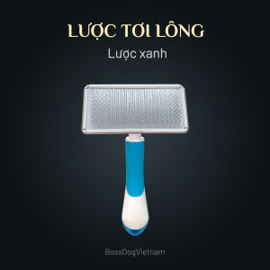 Lược chải lông chó mèo - Đầu răng tròn | BossDog