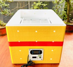 Máy ấp 54 trứng đảo tự động lắp thùng xốp hoàn thiện