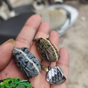 NHÁI EMO NHẬP KHẨU THÁI LAN CHẤT CAO SU NON BỀN DAI DÀI 3.5 NẶNG 6.5 GAM CHUYÊN LU RE