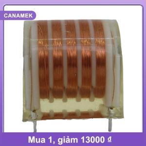 【CANAMEK】 20KV high frequency high voltage transformer ignition coil inverter driver