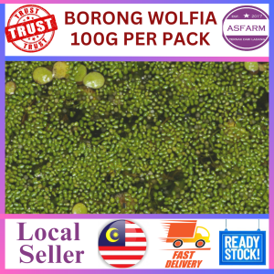WOLFIA 100g PER PACK
